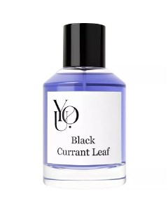 Black Currant Leaf You