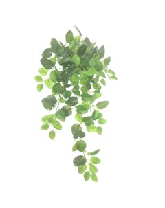 Искусственное растение Свисающая веточка 105 см цвет зеленый Без бренда
