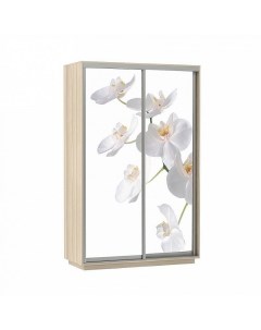 Шкаф купе 2 х дверный Экспресс фото дуо Белая орхидея Ясень шимо светлый 1400 Bravo