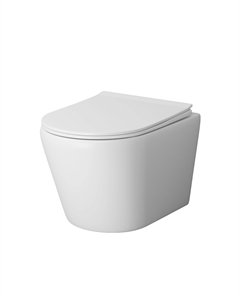 Унитаз подвесной Fly GR-4478MS белый матовый, с крышкой микролифт Grossman