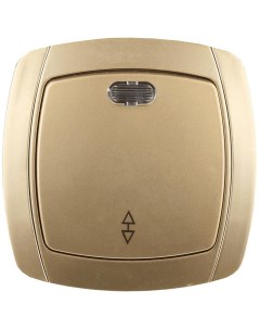 Выключатель проходной АКЦЕНТ SV 54238 GM 1кл индикатор подсветка скрытый монтаж в сборе золотой мета Светозар
