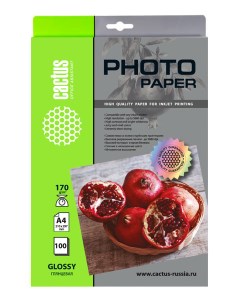 Фотобумага A4 170 г м глянцевая 100 листов односторонняя Photo Paper CS GA4170100 для струйной печат Cactus