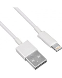 Кабель Lightning 8 pin USB 1 2м белый USB IP 1 2W2A Buro