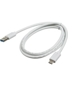 Кабель USB USB Type C 1 м белый BHP USB TPC 1W Buro