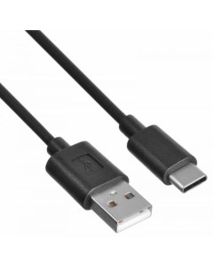 Кабель USB Type C USB 2A 1м черный BHP USB C 1M Buro