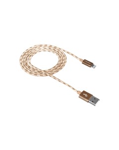 Кабель Lightning 8pin USB 2 0 1m золотистый CNE CFI3GO Canyon