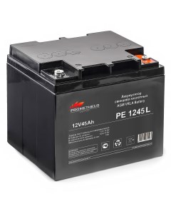 Аккумуляторная батарея для ИБП PE1245L 12V 45Ah Prometheus energy