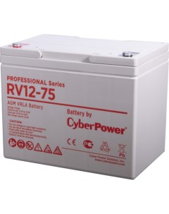 Аккумуляторная батарея для ИБП Battery Professional series RV 12 75 1000527491 Cyberpower