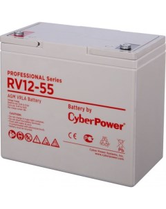 Аккумуляторная батарея для ИБП Battery Professional series RV 12 55 1000527490 Cyberpower