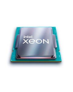 Процессор Xeon E 2278GE 3300MHz 8C 16T 16Mb TDP 80 Вт LGA1151v2 tray CM8068404196302 Intel