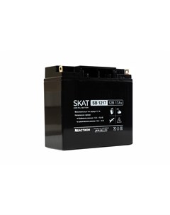 Аккумуляторная батарея для ИБП Skat SB 1217 12V 17Ah 2536 Бастион