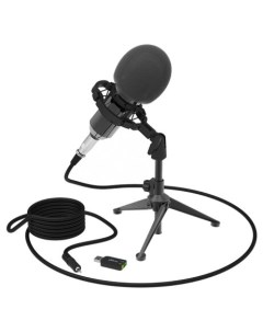 Микрофон RDM 160 конденсаторный черный 80000132 Ritmix