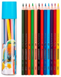 Набор цветных карандашей Color Emotion EC111 12 шестигранные 12 шт заточенные EC111 12 Deli