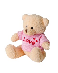 Мягкая игрушка Медведь 20 см кофточка с надписью в ассортименте 3924970 Nobrand