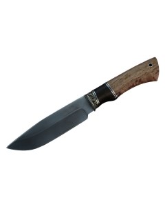 Нож Пума ХВ5 стабилизированная карелка граб мельхиор Окские ножи