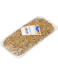 Проростки семян пшеницы 150г упаковка Nobrand