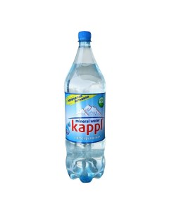 Вода минеральная негазированная 1 л Kappl