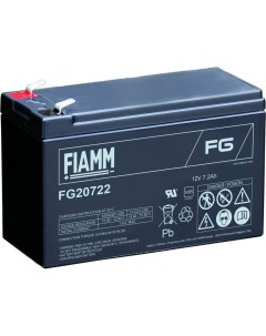 Аккумуляторная батарея FG20722 Fiamm