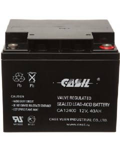 Аккумуляторная батарея CA12400 10601055 Casil