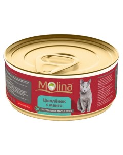 Консервы для кошек с цыпленком и манго в соусе 80г Molina