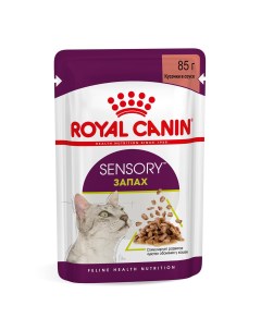 Влажный корм для кошек Sensory Smell 85 г Royal canin