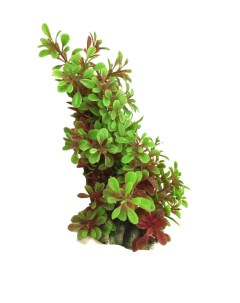Искусственное аквариумное растение Куст 00113051 10х5х18 см Ripoma