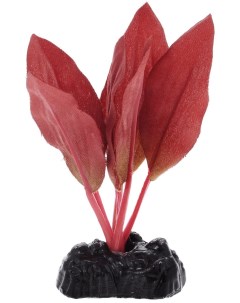 Искусственное растение для аквариума Криптокорина красная Plant 049 10 см шелк Barbus