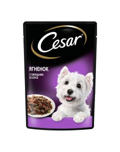 Влажный корм для собак с ягненком и овощами в соусе 85 г Cesar
