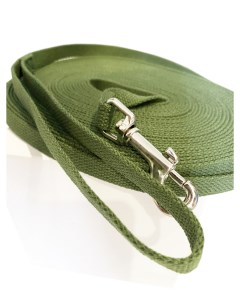 Поводок для дрессуры для собак Вискоза сталь зеленый длина 18 м Japan premium pet