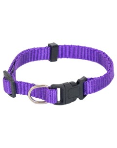 Ошейник для собак Sport синтетический фиолетовый 10 мм 23 38 см Дарэлл