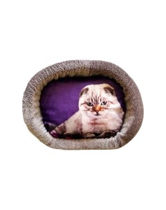 Лежак для кошек дизайн 5 принт 4 овальный 55 х 47 х 16 см Perseiline
