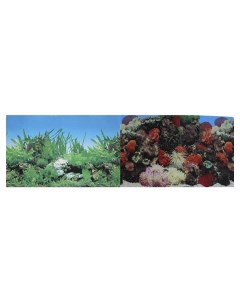 Фон для аквариума Кораллы Растительный винил 100x50 см Prime