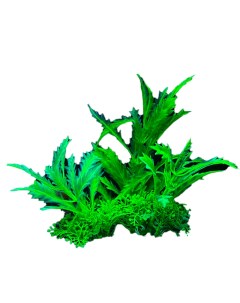 Искусственное аквариумное растение Кустик 00112930 8х5х14 см Ripoma