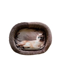 Лежак для кошек дизайн 6 принт 1 овальный 67 х 49 х 16 см Perseiline