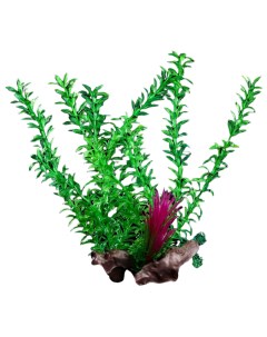 Искусственное растение для аквариума на коряге зеленое 300 мм Пижон аква