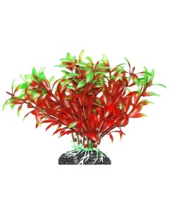 Растение для аквариума Людвигия красно зеленая 11 см Уют
