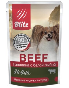 Влажный корм для собак Holistic говядина с белой рыбой для мелких пород 85 г Blitz