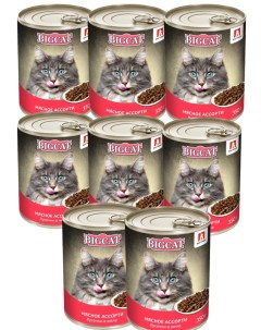 Мясные консервы для кошек Big Cat мясное ассорти 8 шт по 350г Зоогурман