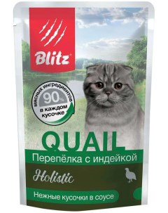 Влажный корм для кошек HOLISTIC QUAIL с перепелкой и индейкой в соусе 85 г Blitz