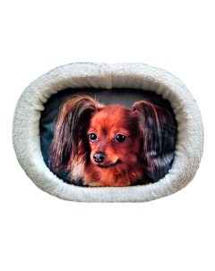 Лежак для собак дизайн 5 принт 36 овальный 55 х 47 х 16 см Perseiline
