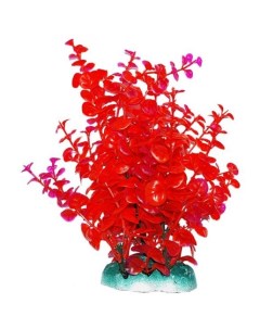 Растение аквариумное Бакопа красная 20 см Уют