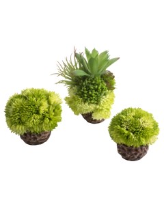 Искусственное растения для аквариума Coral ball set green зеленые коралловые шары Biorb