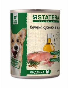 Влажный корм для взрослых собак сочные кусочки в желе с индейкой 6 шт по 400 г Statera