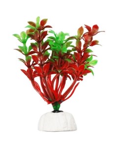 Растение аквариумное Гемиантус красно зеленый Уют