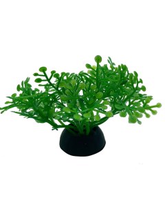 Искусственное растение для аквариума 00116727 2 5х5 см Ripoma