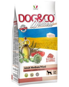 Сухой корм для собак Adult Medium Maxi баранина рис 12 2кг Wellness dog&co
