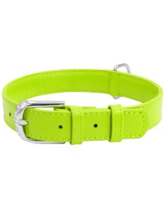 Ошейник для собак Collar Glamour зеленый 38 49 см Waudog