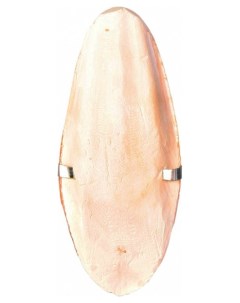 Панцирь каракатицы для заточки клюва для птиц Cuttle Fish Bones с держателем 16см Trixie