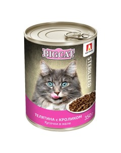 Консервы для кошек Big Cat Sterilized телятина с кроликом 350г Зоогурман