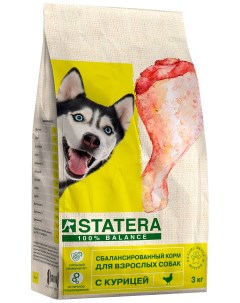 Сухой корм для собак с курицей 2 шт по 3 кг Statera